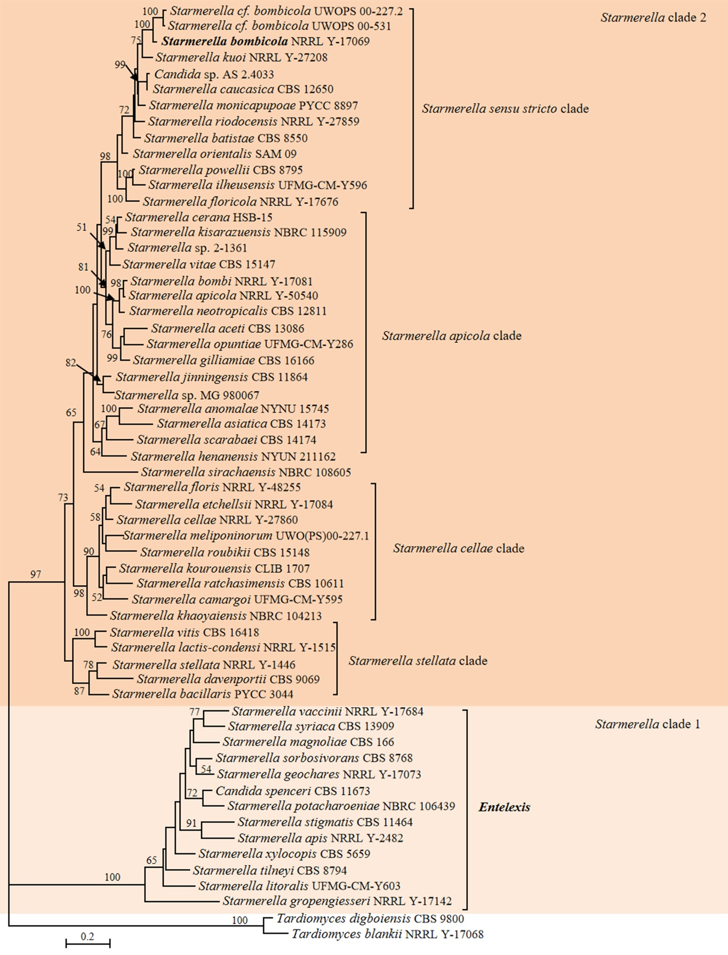 Figure 4